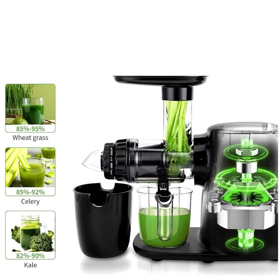 Cold Press 3 Modes Slow Masticating Juicer