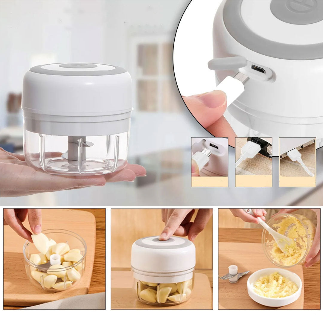 Electric Meat Grinder and Mini Garlic Chopper