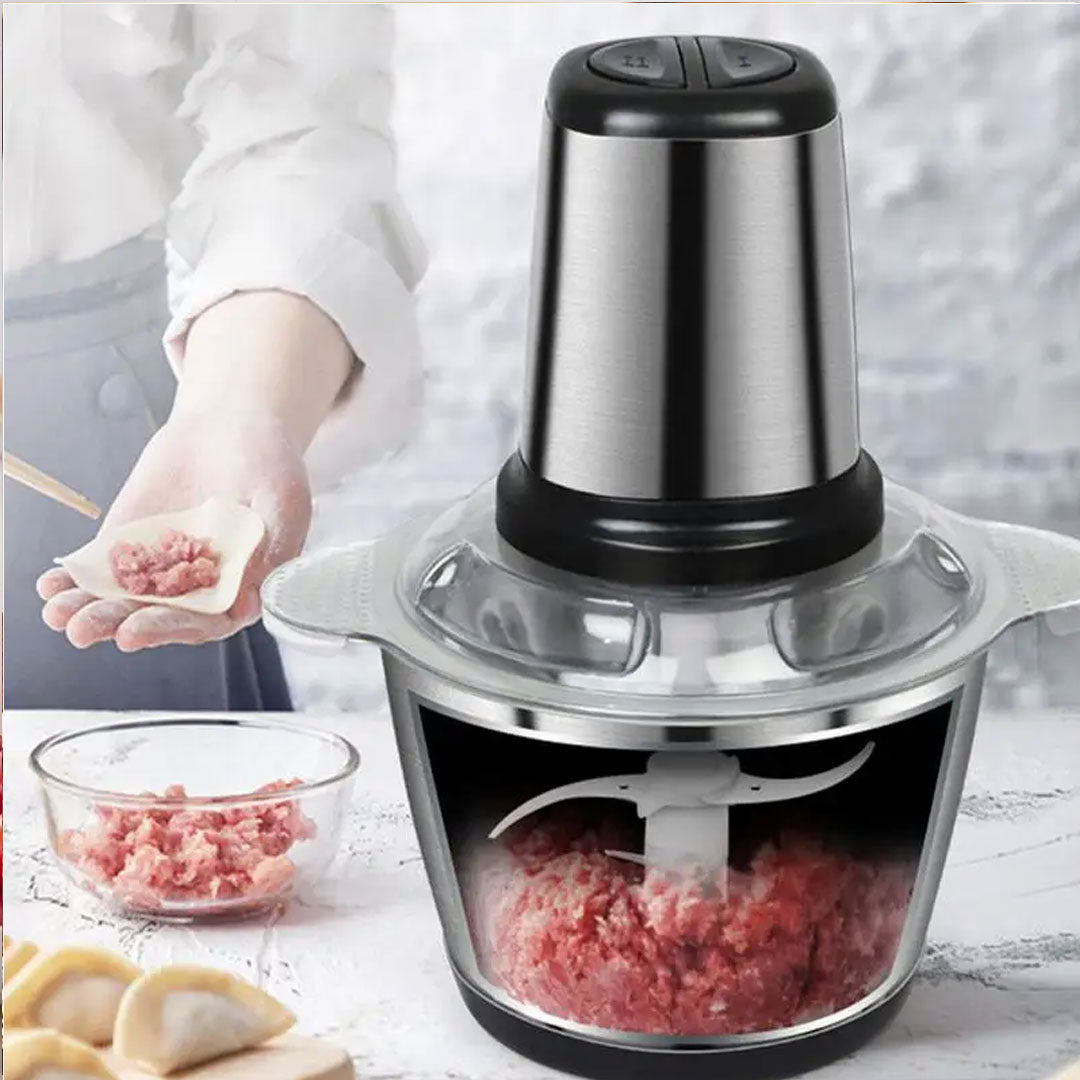 500W Electric Chopper and Meat Grinder