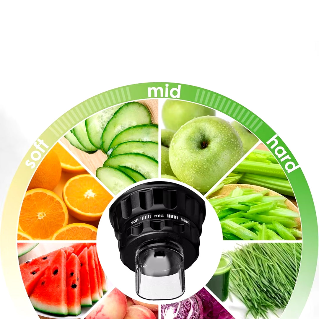 Cold Press 3 Modes Slow Masticating Juicer