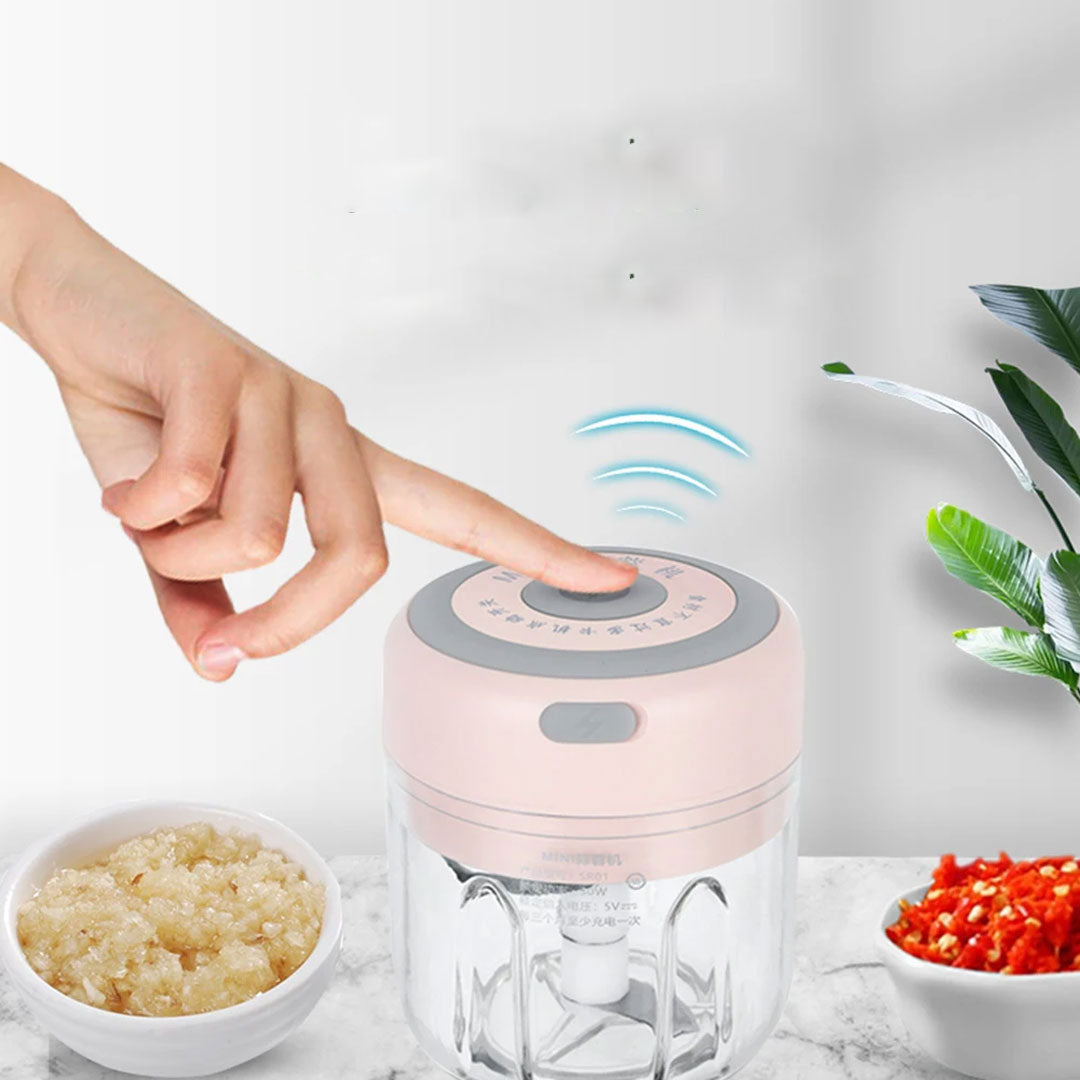 Electric Meat Grinder and Mini Garlic Chopper