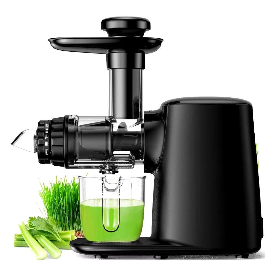 Cold Press 3 Modes Slow Masticating Juicer